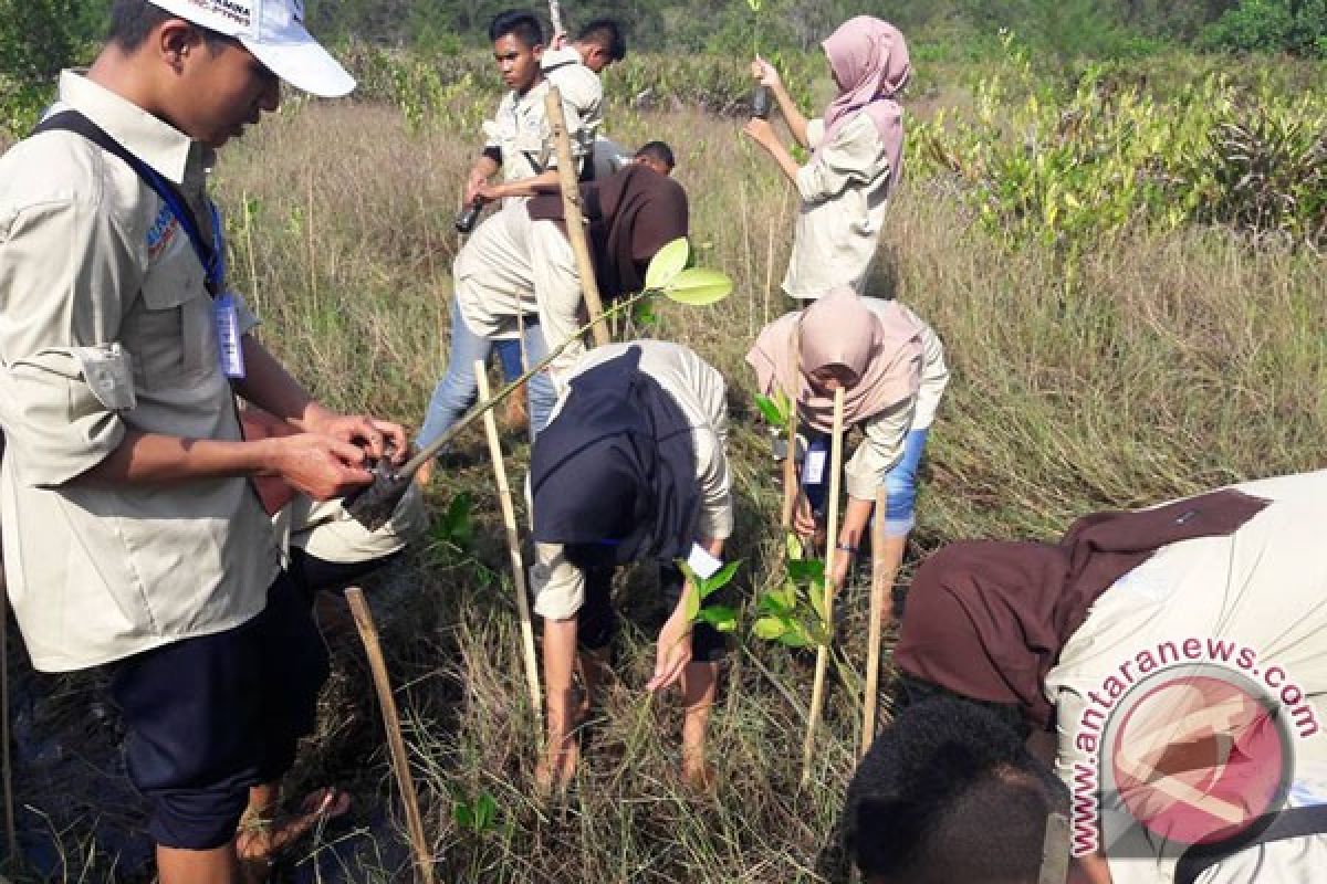 SMN Jateng Tanam Mangrove Di Pantai Bengkulu