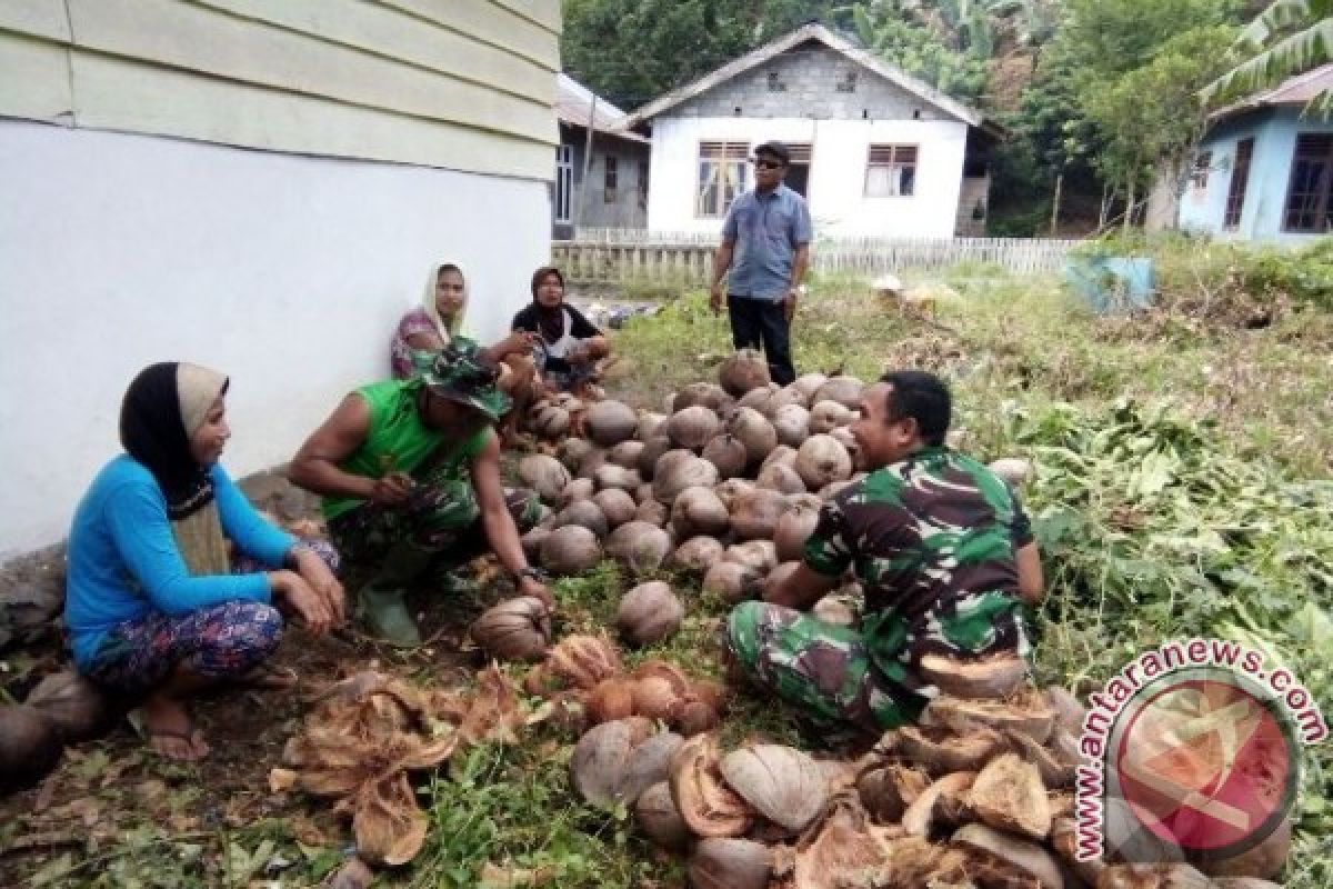 Disperindag Halmahera Barat maksimalkan pemanfaatan produksi kelapa