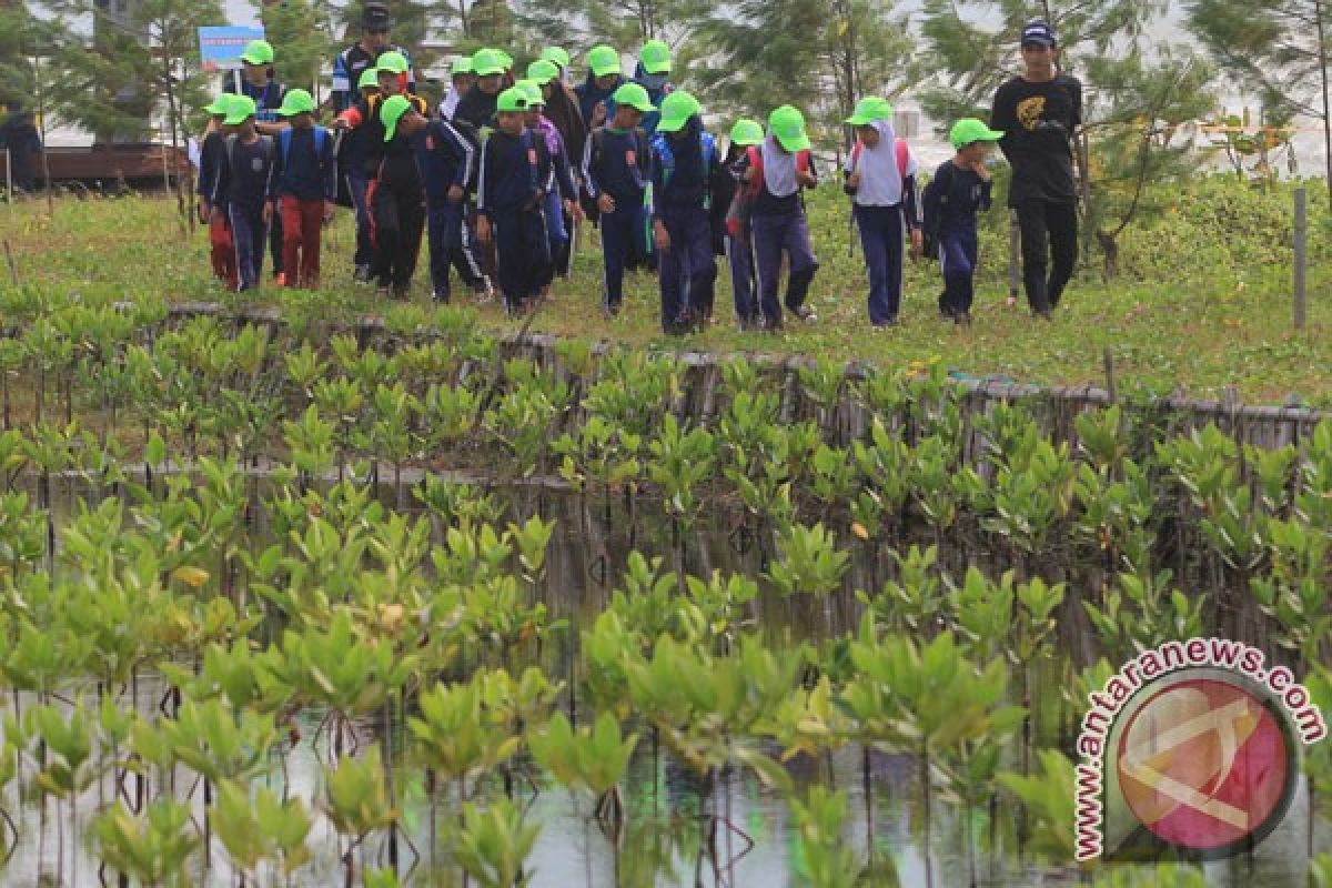 Ekowisata mangrove Muara Gembong dikembangkan PJB