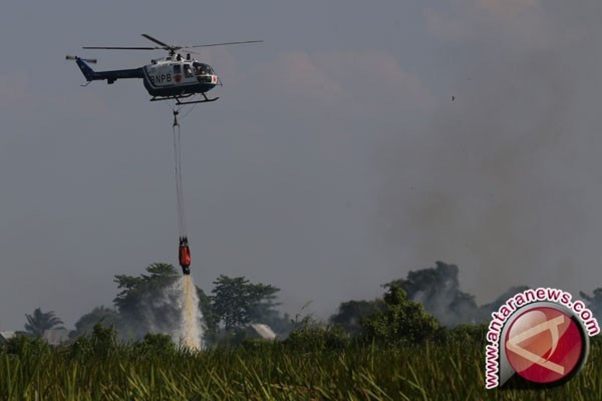 Sudah 21,67 Juta Ton Air Disiram dari Udara Untuk Atasi Kebakaran Riau