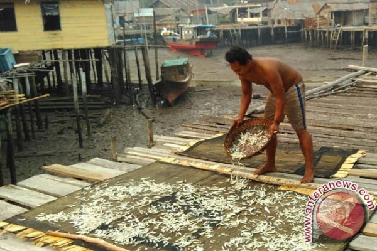 Desa Penghasil Ikan Teri Lingga Krisis Garam