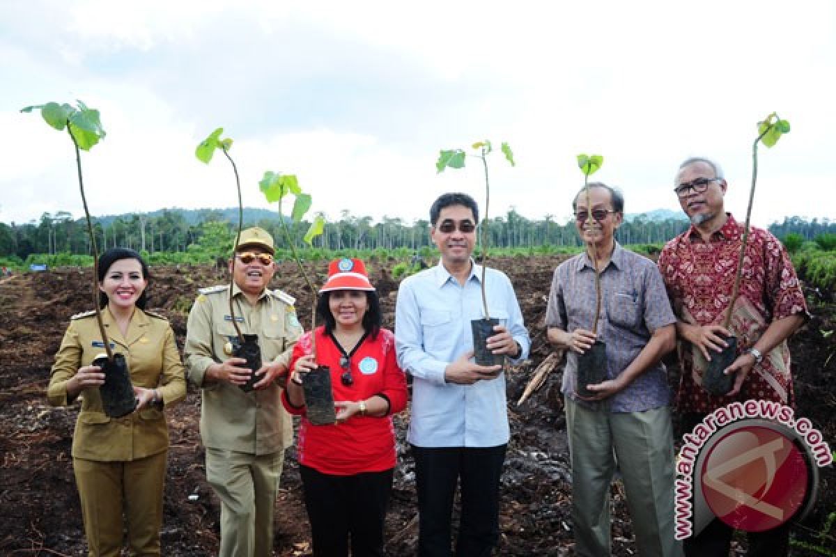 Gubernur Kalbar ajak perguruan tinggi tanam pohon