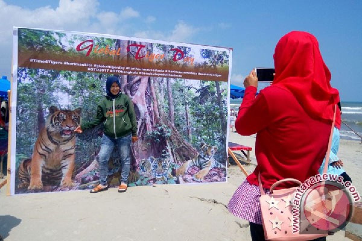 Warga Bengkulu Dukung Inisiatif Penyelamatan Harimau Sumatera