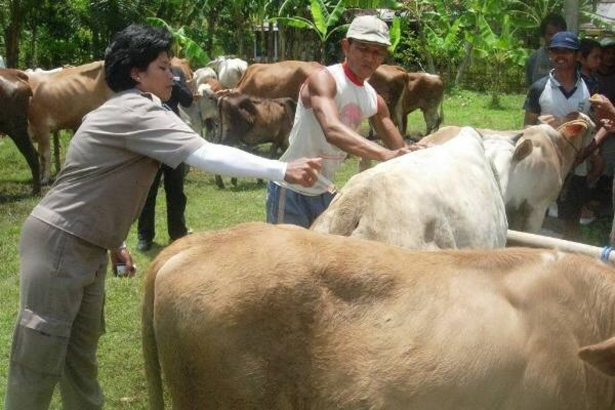 Program Upsus Siwab di Banjarnegara lancar