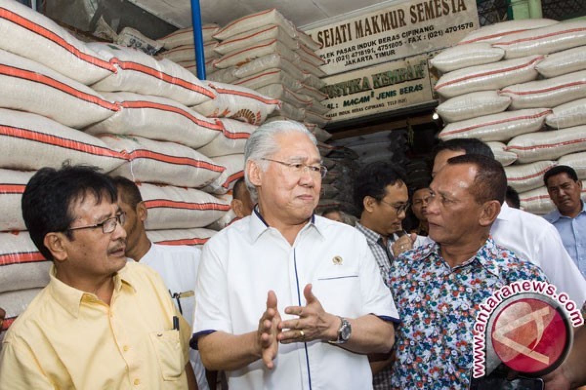 Pemerintah Bahas Penyederhanaan Jenis Beras