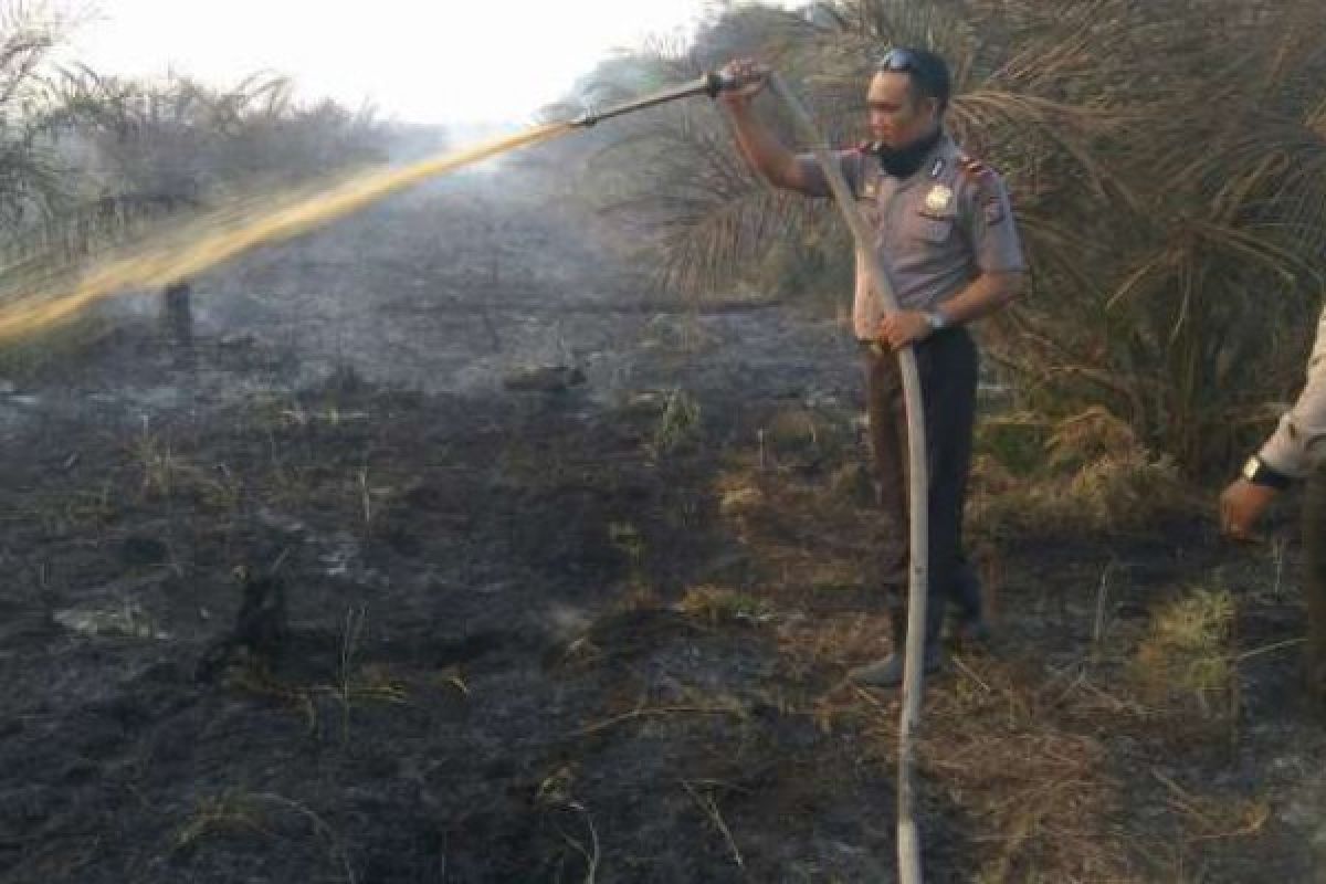 30 Hektare Lahan Pribadi dan Perusahaan Terbakar di Indragiri Hilir