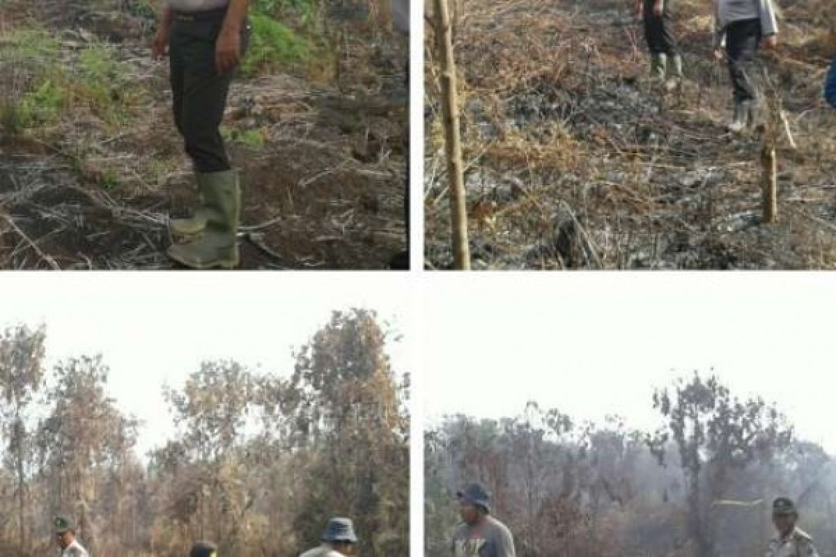 8 Hektare Lahan Terbakar di Dumai, Polisi Lidik Asal Api