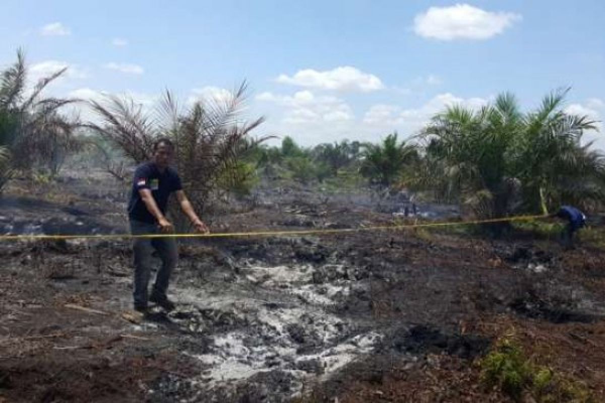 98 Kasus Kebakaran, Kepolisian Riau Tangkap 8 Orang Pembakar Lahan