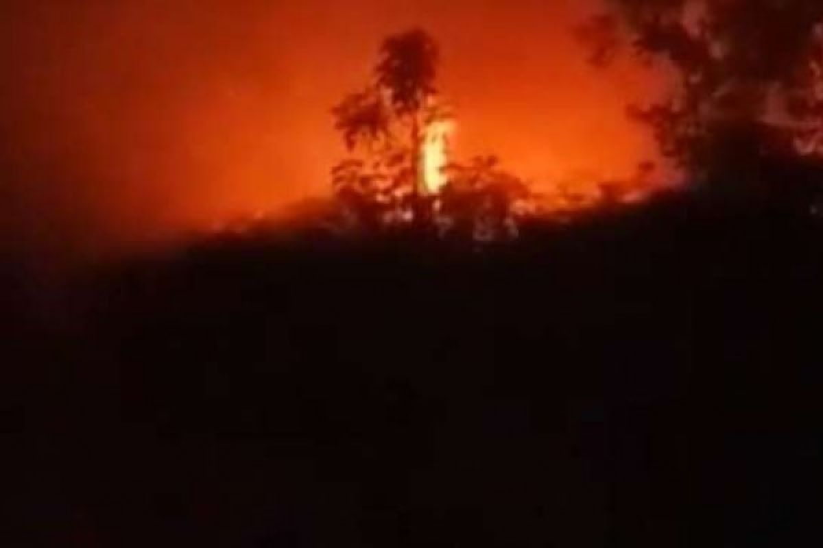 Angin Kencang, Kebakaran di Meranti Cepat Merambat Hingga 20 Hektare