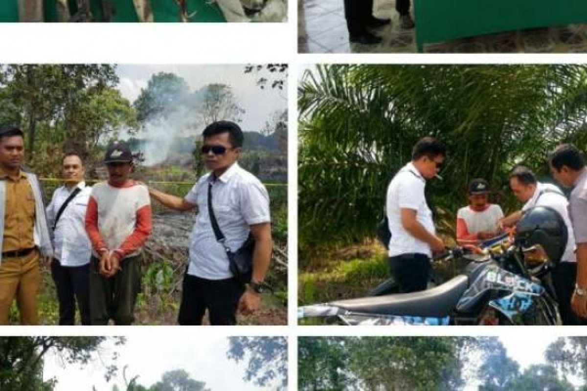 Bakar Lahan Untuk Tanam Bibit Labu, Petani di Rohil Ditangkap