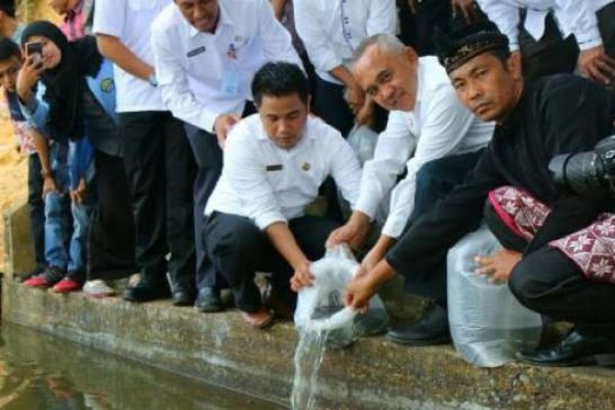 Gubri Lakukan Penebaran 60.000 Ekor Benih Ikan Baung Di Kampar