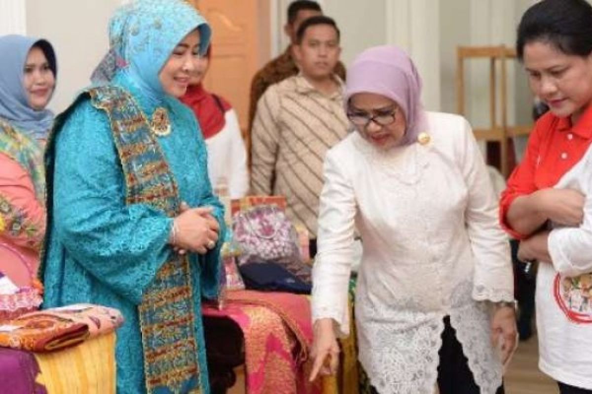 Ibu Negara Tinjau Pameran Dekranasda Inhil