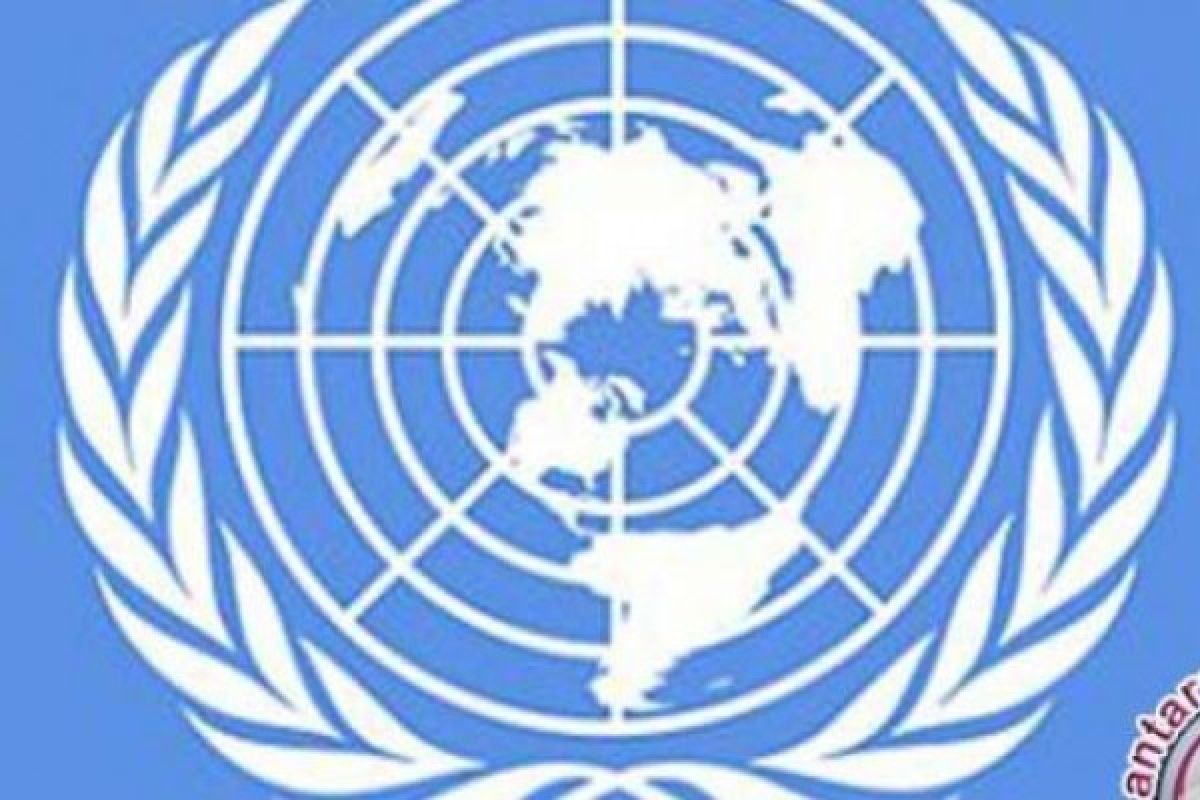 Indonesia Terima Dukungan Turki Sebagai Dewan Keamanan PBB