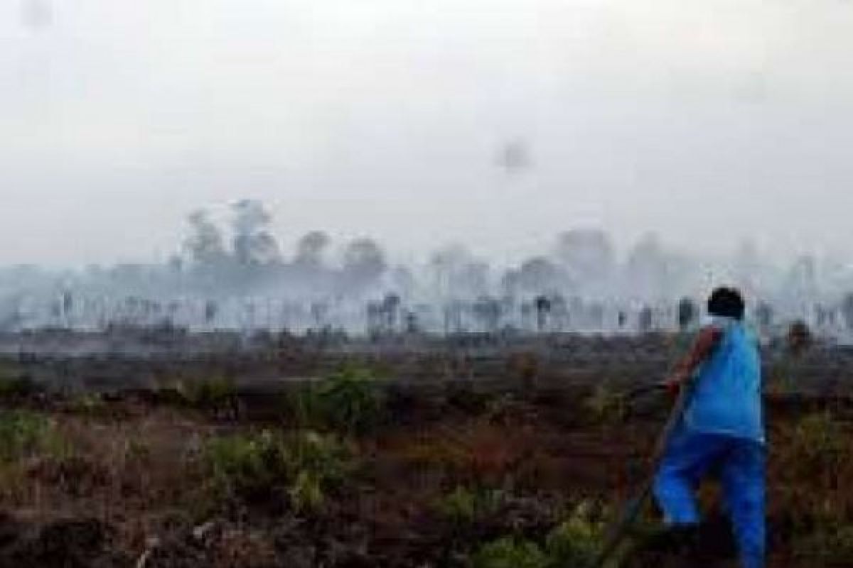 KLHK Kerahkan Satgas Karhutla ke Aceh