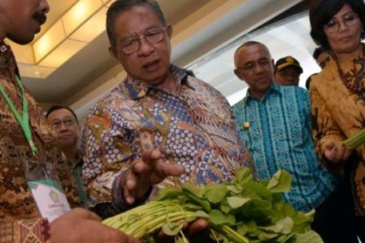 Pembangunan Kota Masih Didikte Pengembang, Ini Pendapat Menko Perekonomian