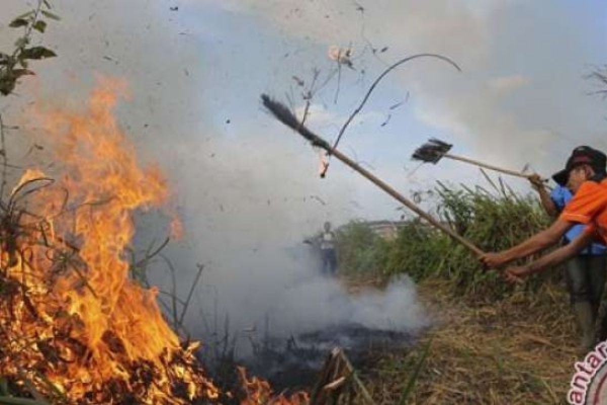 Satgas Gabungan Padamkan Kebakaran 10 Haktare Lahan Di Pinggiran Pekanbaru    