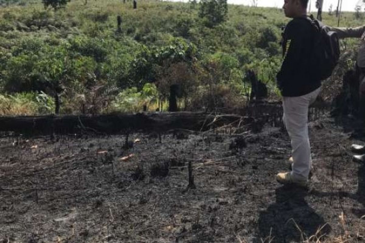 Tim Gabungan Padamkan 3 Lokasi Kebakaran Lahan di Pelalawan