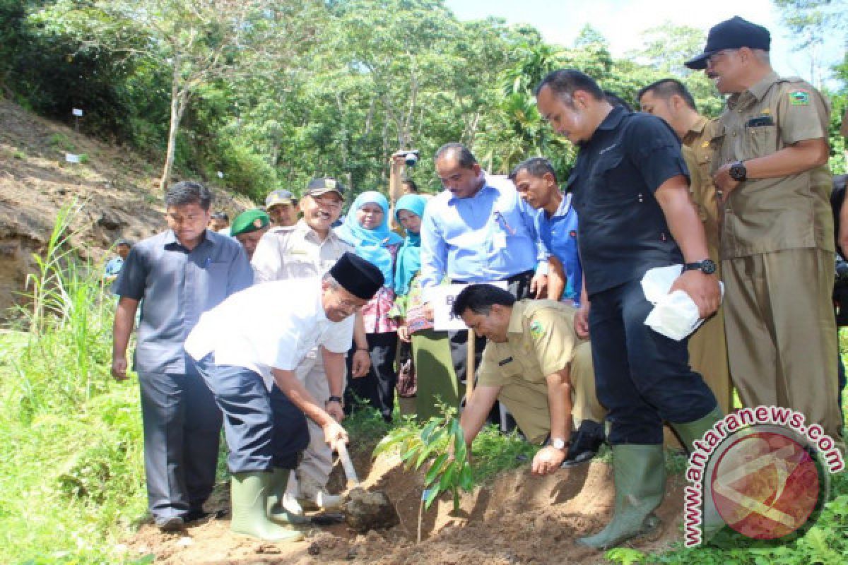 Bupati Harapkan Penanaman Bibit Buah Kembangkan Kemandirian Nagari