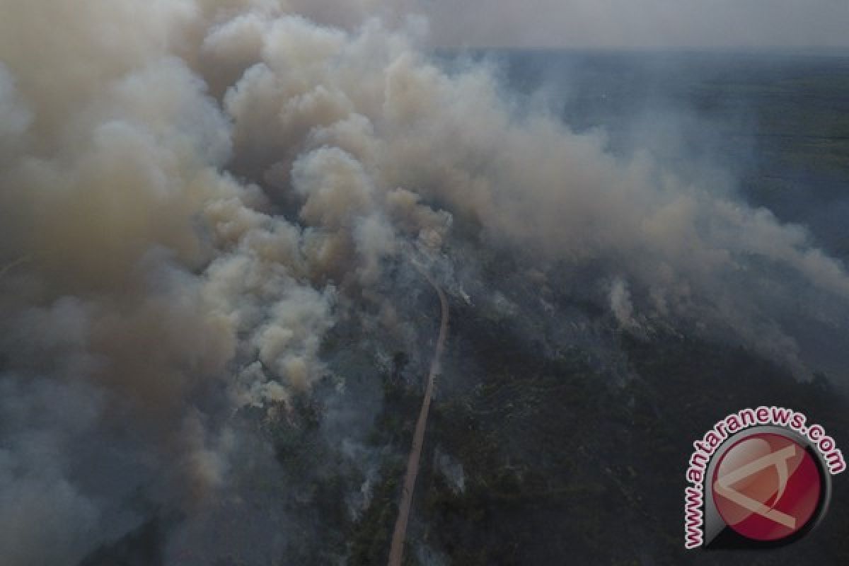 Kebakaran lahan gambut terjadi di kawasan Palembang-Inderalaya