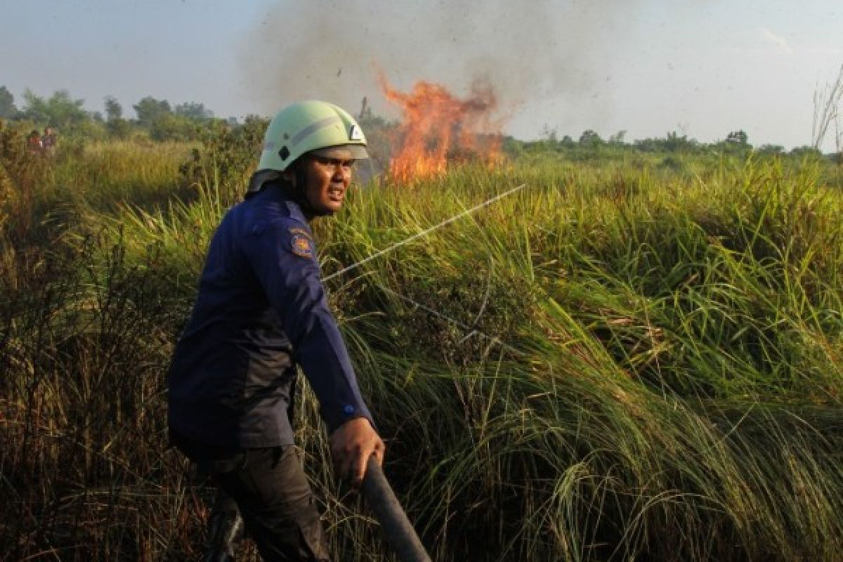 Singkawang kebakaran 5 hektare lahan gambut