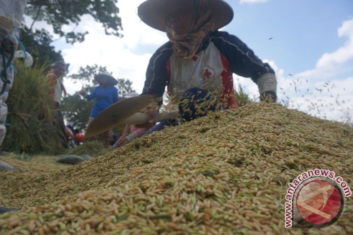 Kabupaten Klungkung percepat pemberdayaan dengan beras lokal