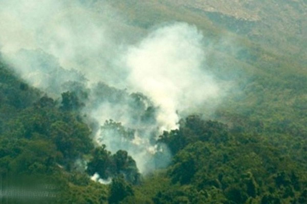 BMKG: Terdeteksi Titik Api di Lampung Tengah  