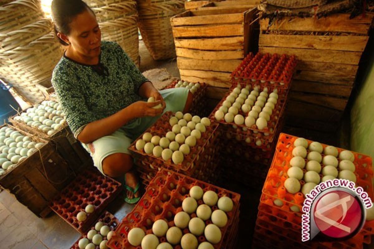 Harga Telur Asin di Pangkalpinang Naik Akibat Garam Mahal