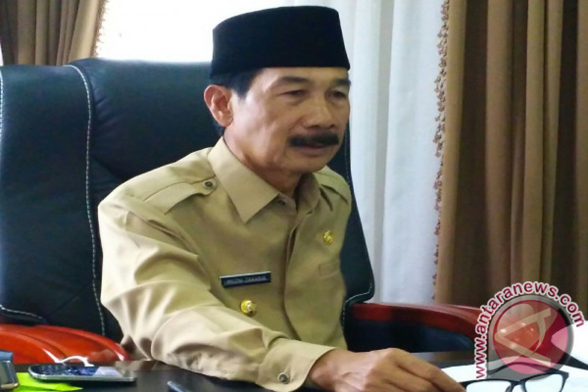 South Solok To Develop Simancuang As An Organic Area