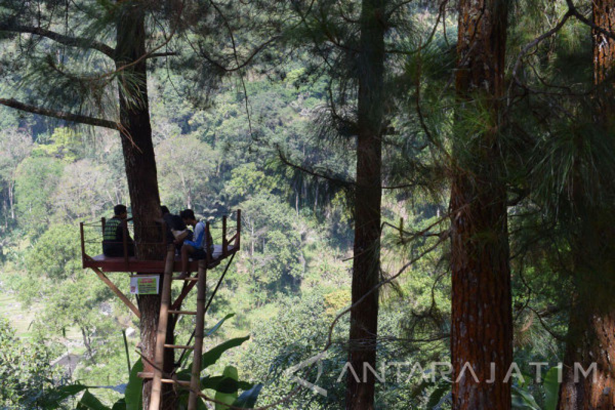 Pemkab Madiun Kembangkan Potensi Wisata Lereng Wilis