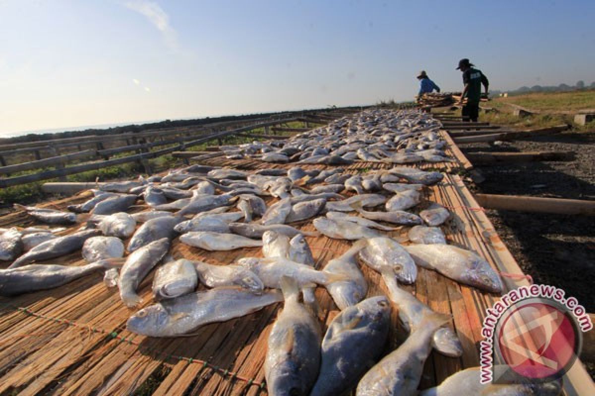 Fish production surges following sinking of fishing boats