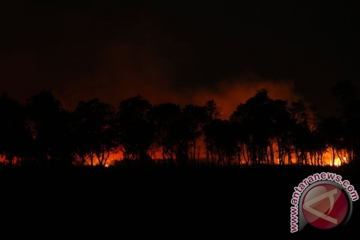 Gelombang panas dan kekeringan di Italia picu kebakaran hutan