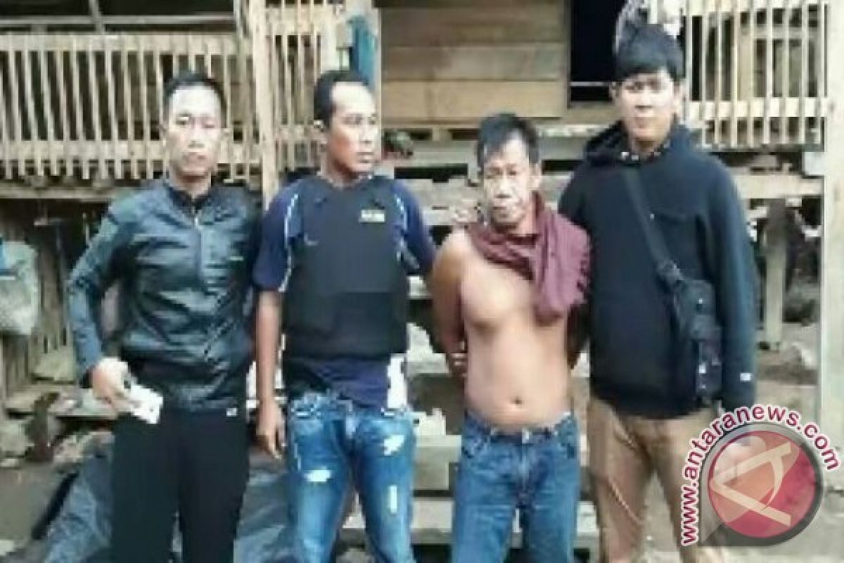 Polda Kepulauan Babel Ringkus Buronan Pencuri Timah Basah