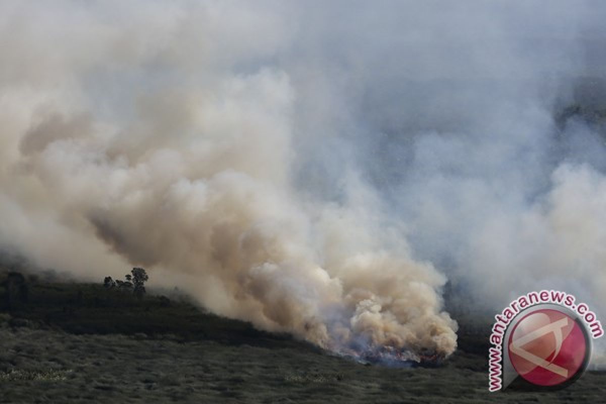 Hutan di Toba Samosir terbakar