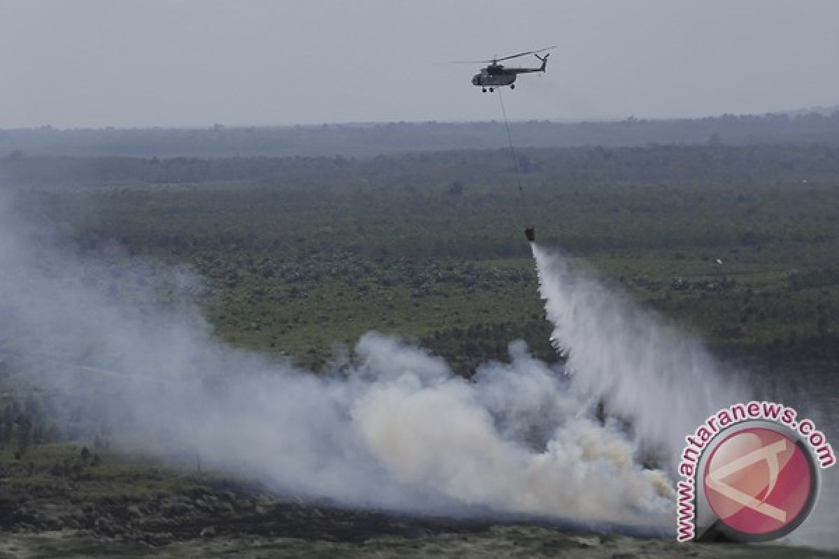 Ratusan hektare lahan gambut Rokan Hilir terbakar