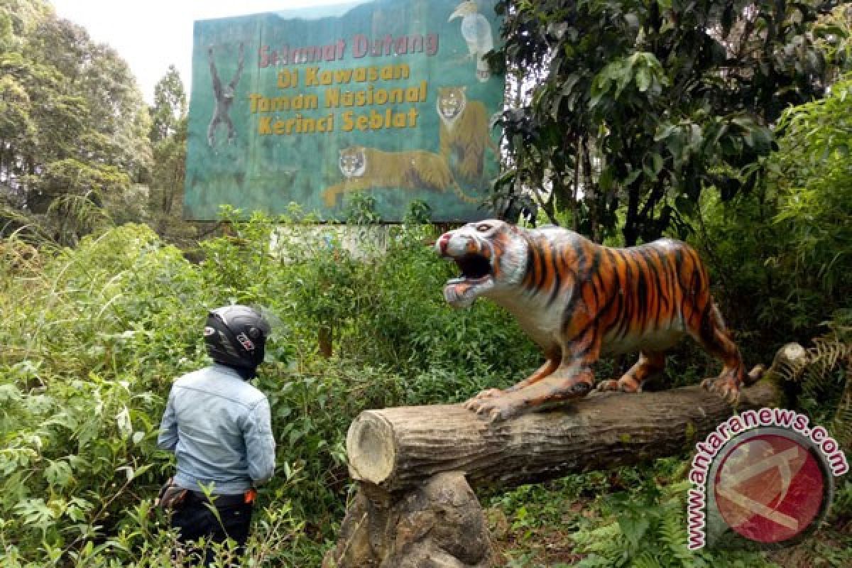 Mukomuko Survei Lokasi Pembukaan Jalan Dalam TNKS