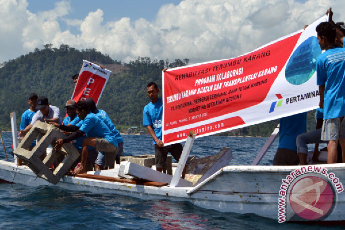 Pertamina Lestarikan Terumbu Karang di Teluk Kabung