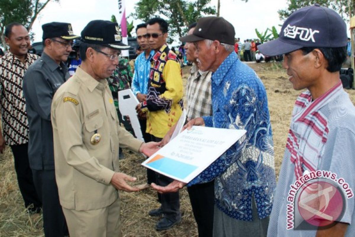 Bupati Sarankan Petani Batola Ikut Program Asuransi