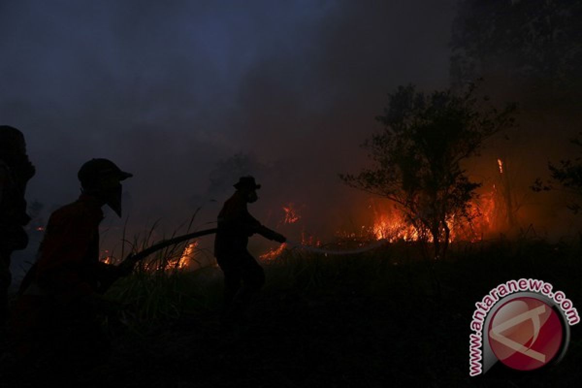 Kebakaran lahan gambut di Kawasan Palembang-Inderalaya