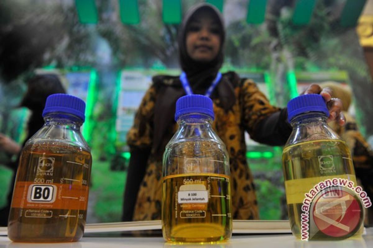 DEN Akui ada Keluhan dari Pengguna Biodiesel B20