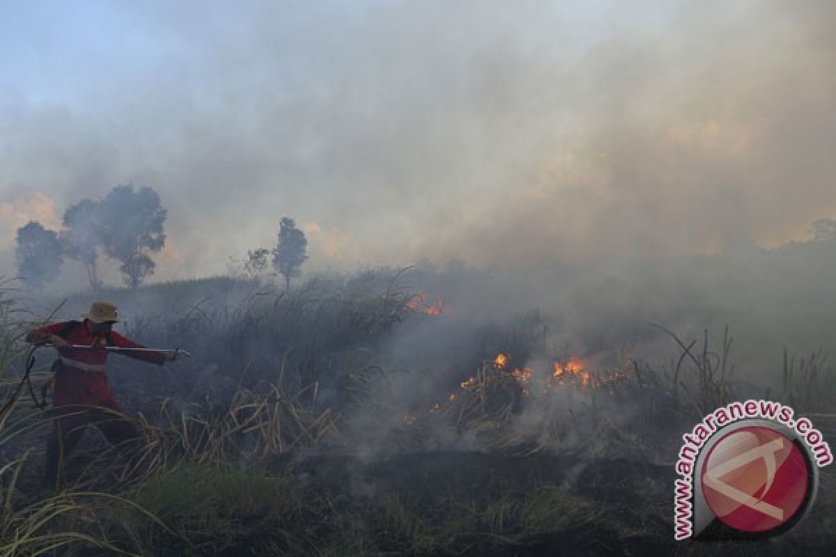 BNPB perkirakan potensi Karhutla akan terus meningkat