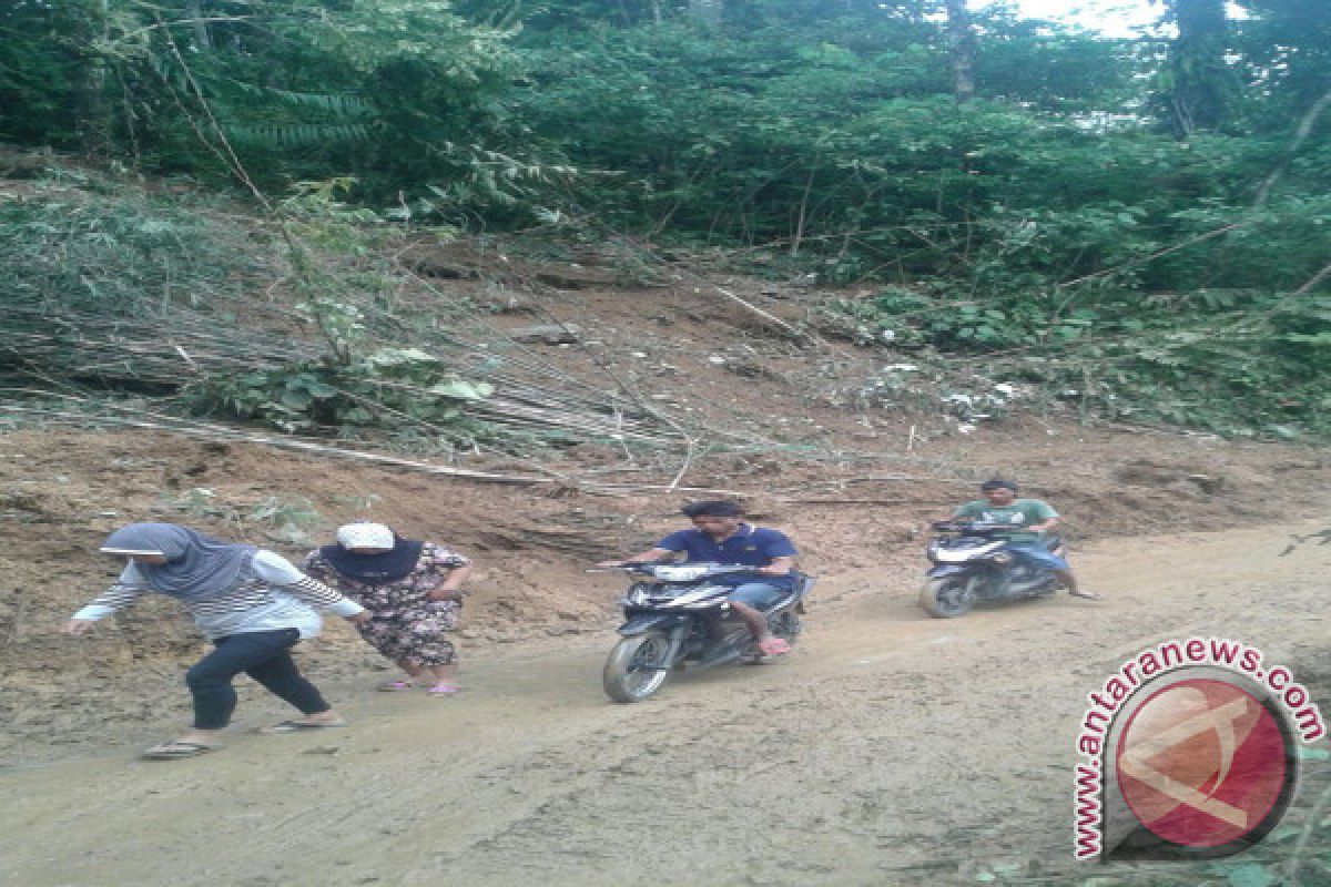 Pascalongsor, Jalan Menuju Sitabu Pasaman Barat Sudah Bisa Dilewati