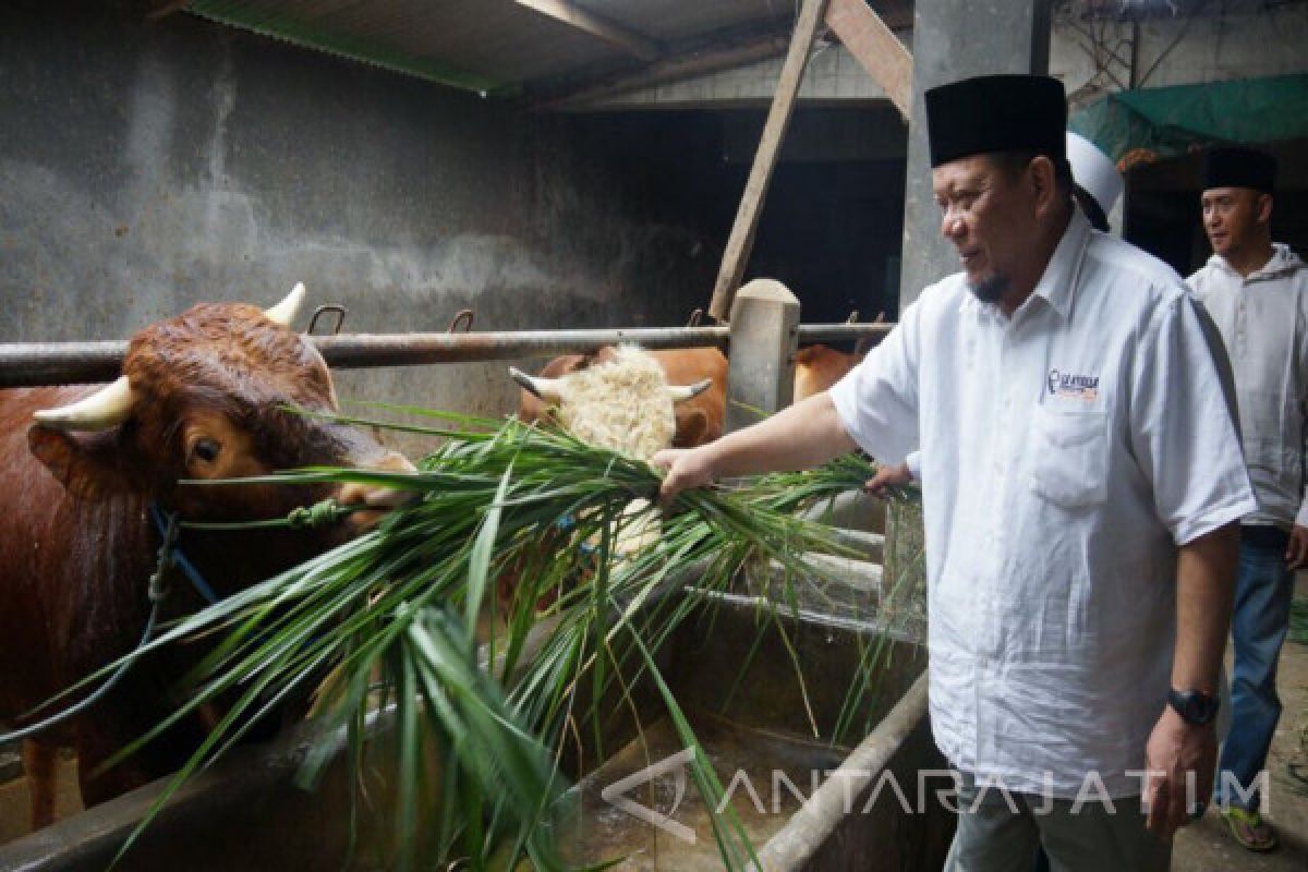 Kadin : Pesantren Jatim Bisa Jadi Pusat Produk Halal