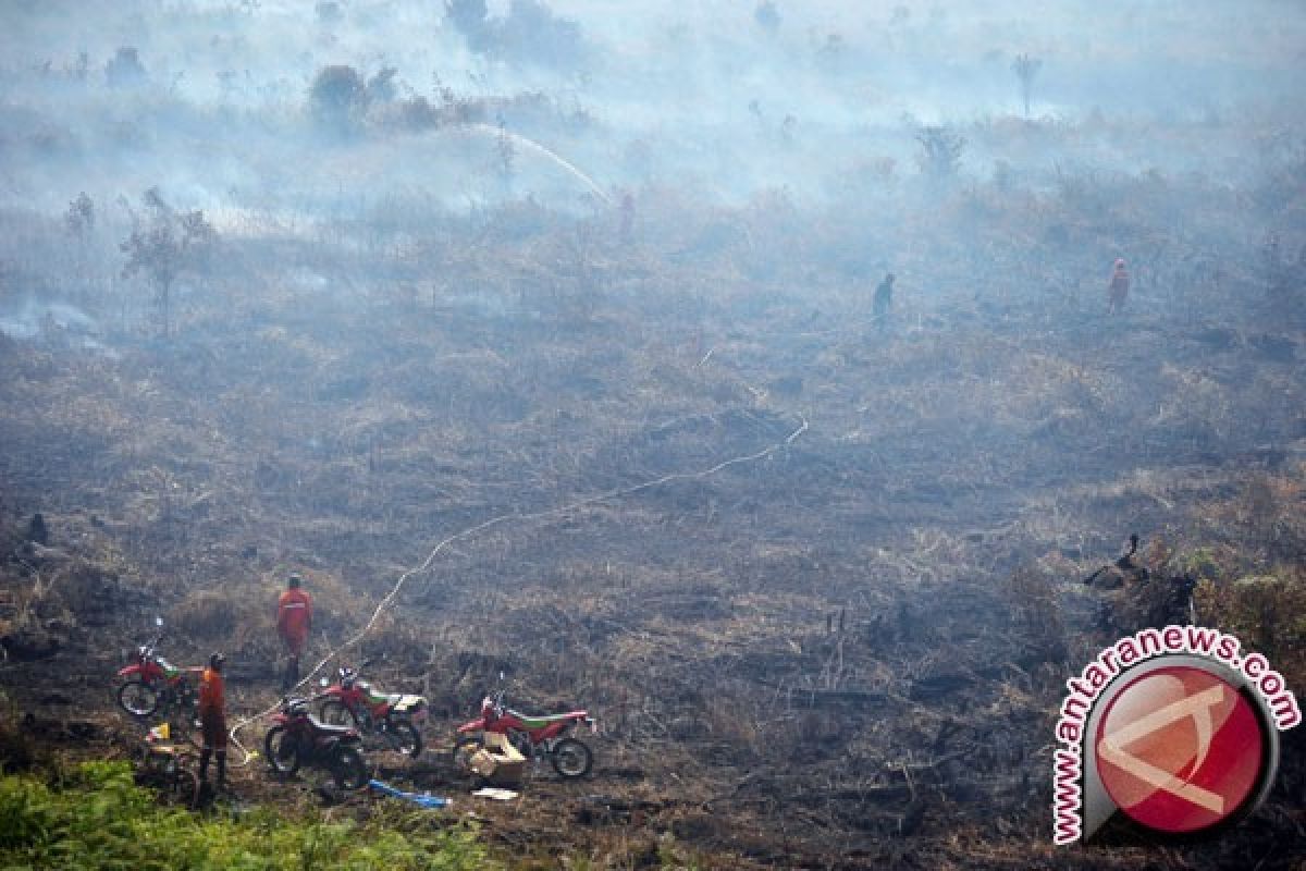 Satgas Karhutla Padamkan Api di Jambi