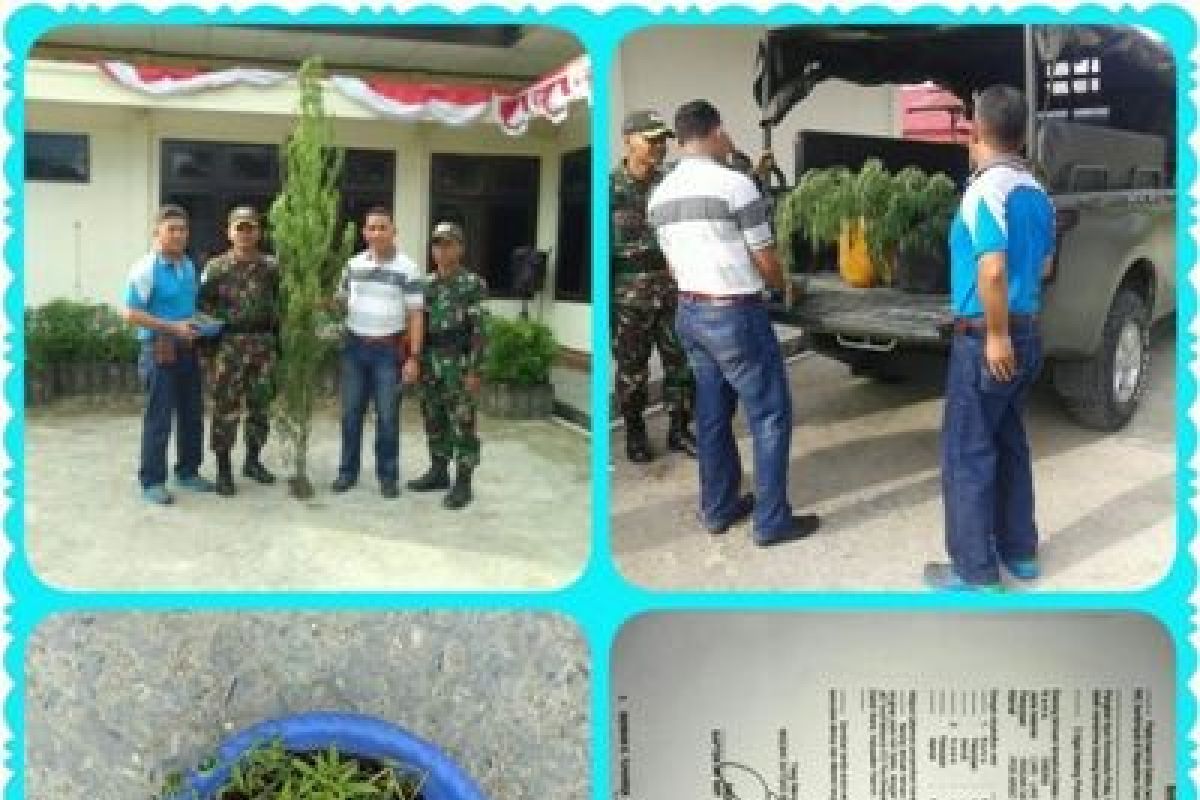 Satgas TNI Yonif Quratara Yudha serahkan ganja ke Polres Keerom 