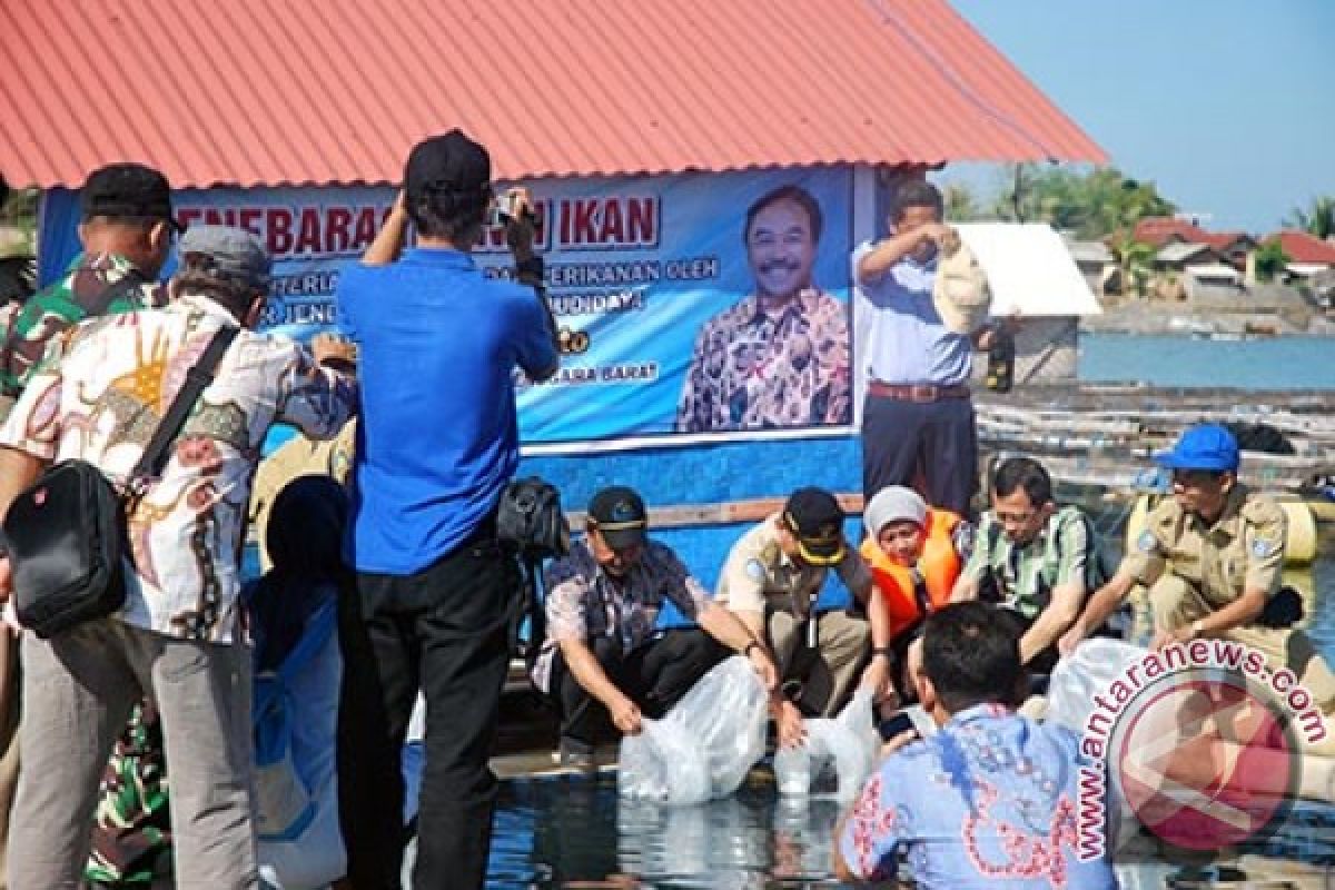 KKP Tebar 33.700 Ekor Benih Ikan Laut di Lombok Timur