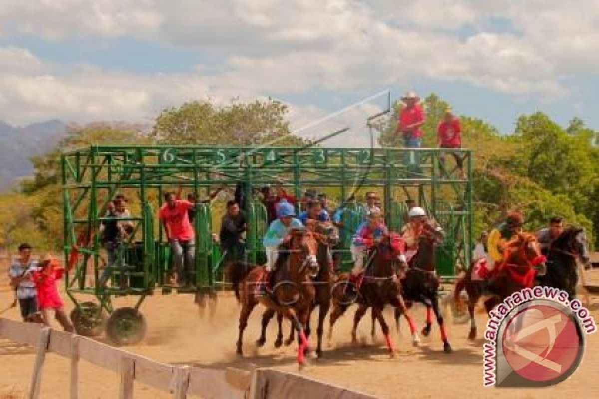  Pacuan Kuda Perbatasan Tarik Minat Wisatawan 