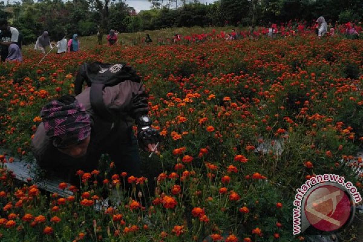 Legislatif: Taman Bunga Berpotensi Tambah Pendapatan Daerah