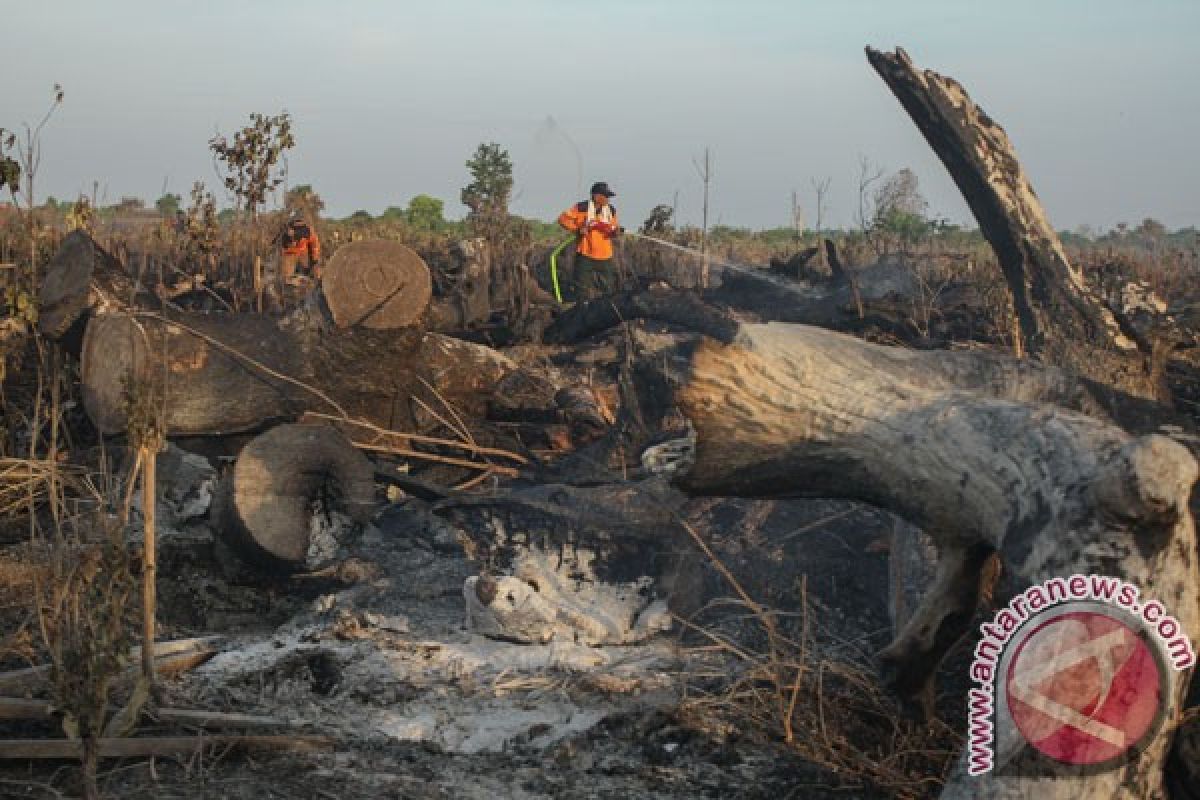 BRG fokus selamatkan gambut tebal dan dalam