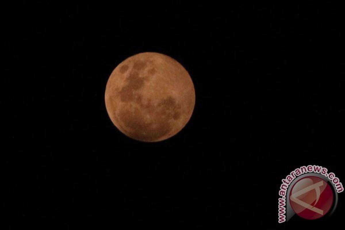 MUI Banyumas ajak masyarakat shalat gerhana bulan