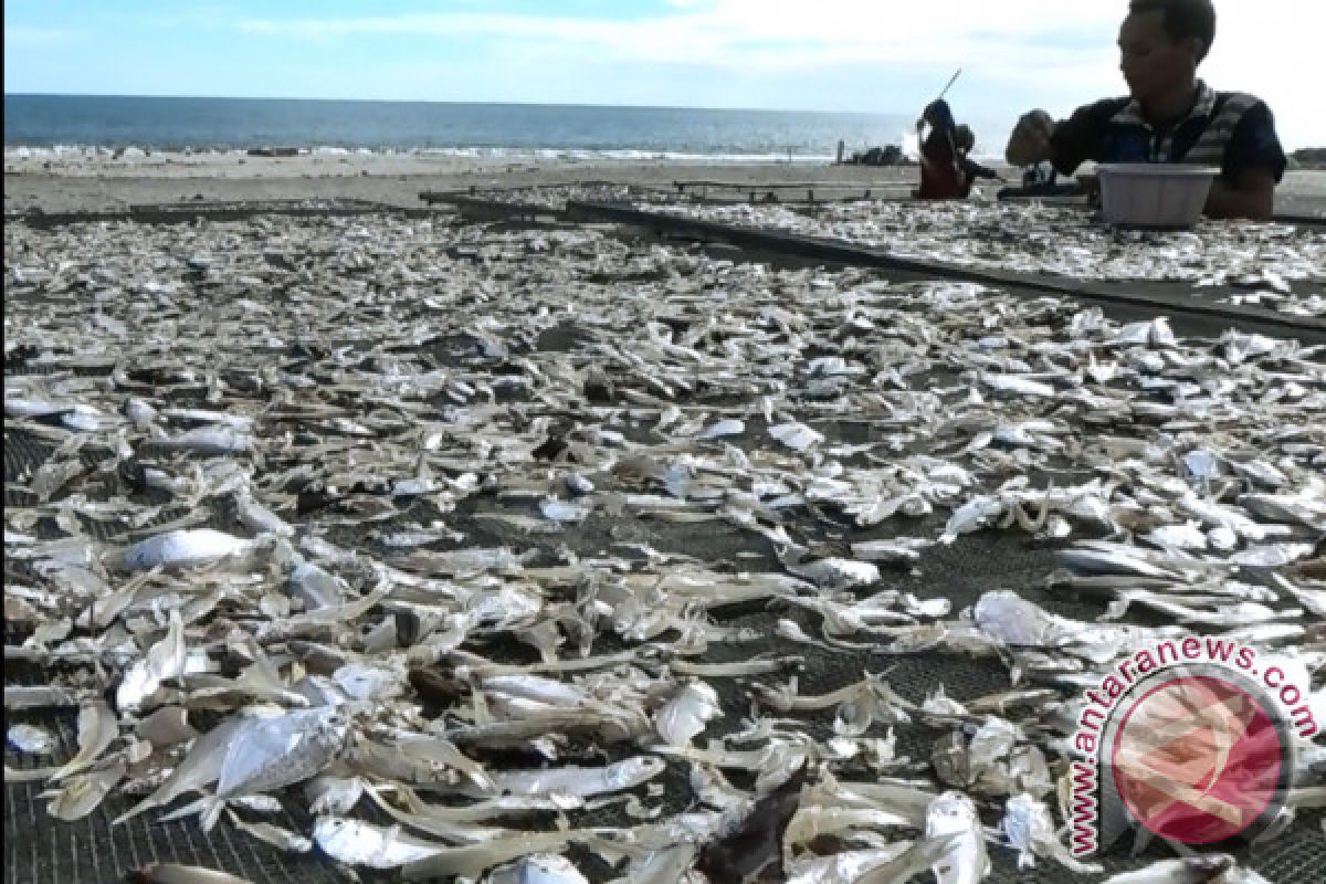 Perajin Pengolah Ikan Asin Pun Berharap Harga Garam Kembali Stabil